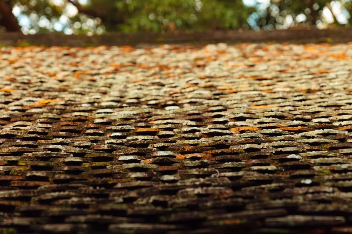 Roof Inspections in Springdale, AR